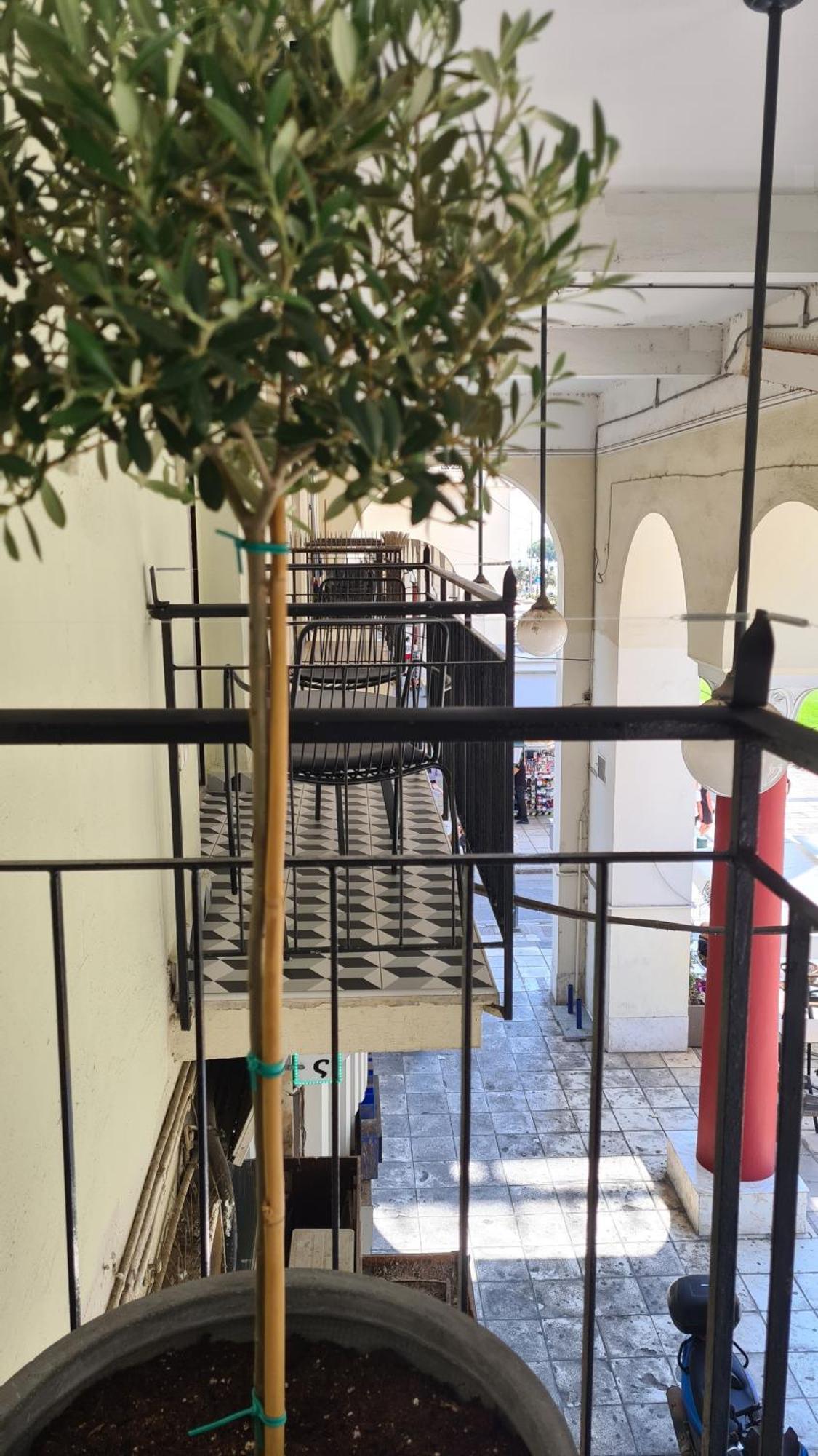 Μerάκι Aristotelous Sq Szaloniki Kültér fotó